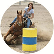 Ann Cole Horse Farm